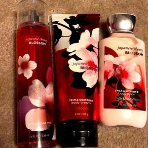 Japanese Cherry Blossom